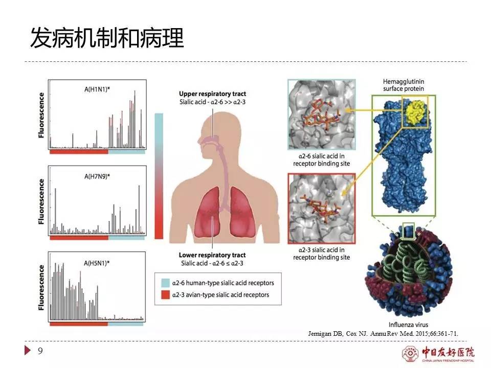 「规范与指南」人感染H7N9禽流感诊疗方案（2017年第一版）
