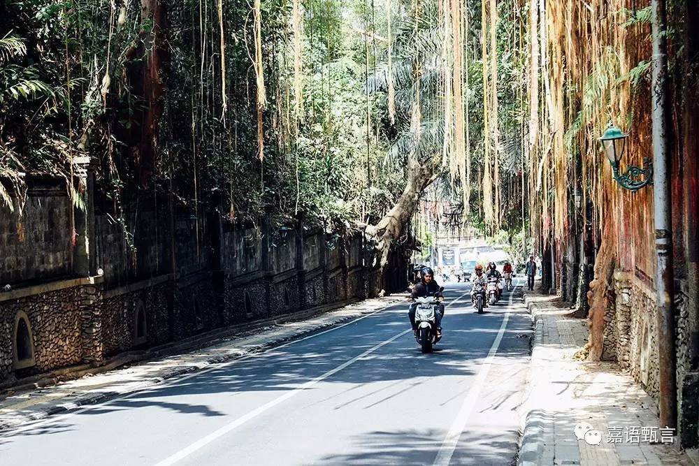 春节巴厘岛豪华游,巴厘岛旅游攻略住宿推荐