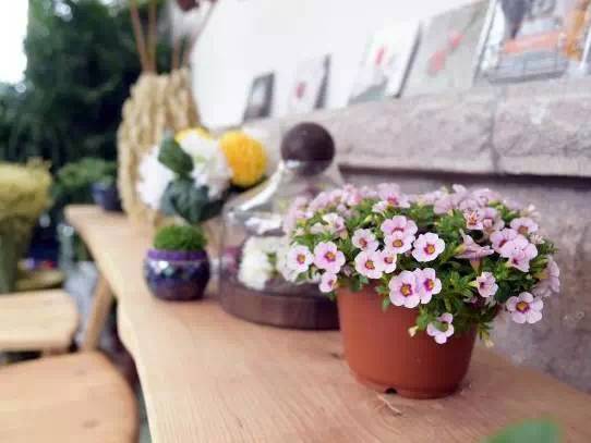 青岛最值得去的民宿,青岛看海景最美的民宿