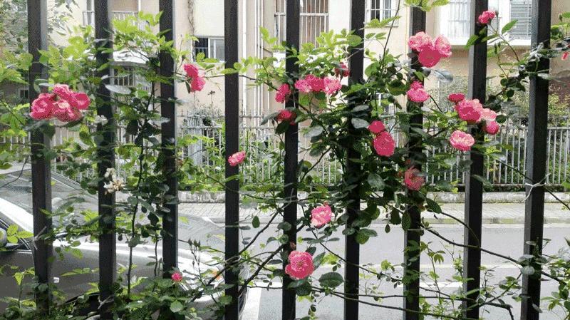 爷爷奶奶和孩子的卧室设计,她给家人建了一座童话屋子