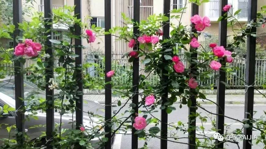 爷爷奶奶和孩子的卧室设计,她给家人建了一座童话屋子