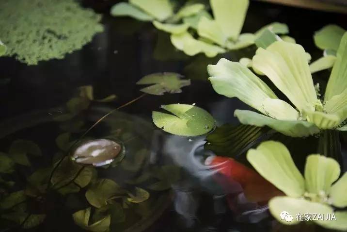 爷爷奶奶和孩子的卧室设计,她给家人建了一座童话屋子