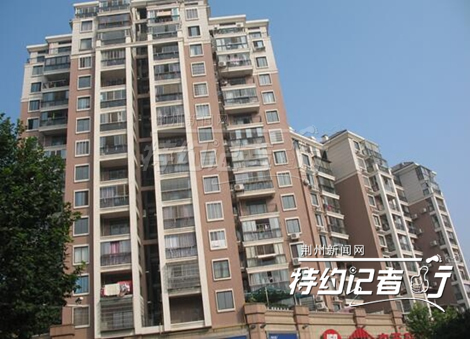 特约记者行郁金香完整版,特约记者行最新视频