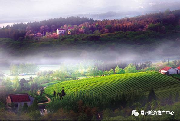 常州田园风景,常州最美乡村旅游景点