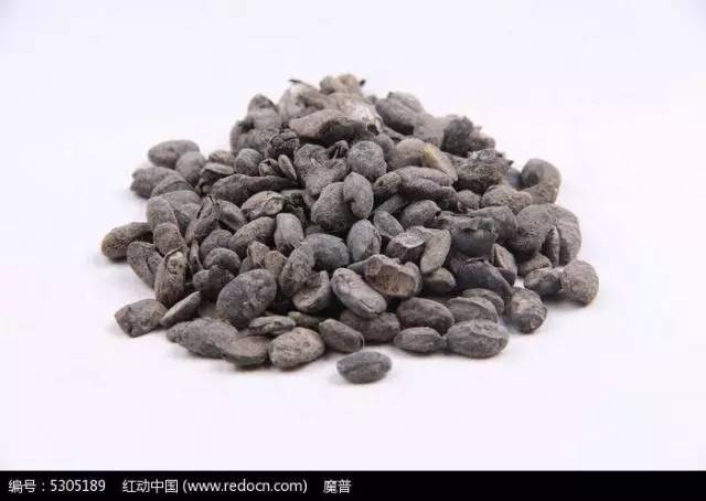 医学美文｜刘完素外感疾病学术思想研究概况