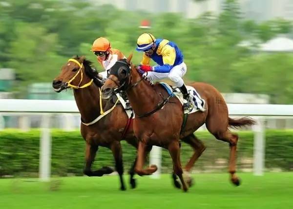 苏州迪士尼旅游景点有哪些,苏州乐园游玩攻略最新