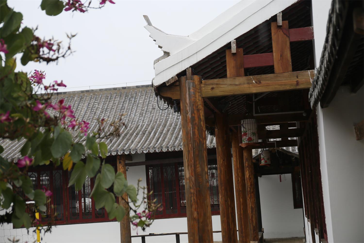 南宁附近农家乐排行榜,南宁十全十美农家乐