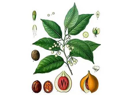 解酒秘籍大全教学,解酒小秘方让你酒后不那么难受