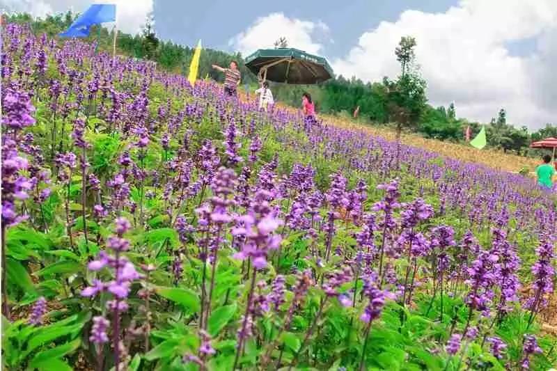 三千多平方公里的家，名字叫石柱