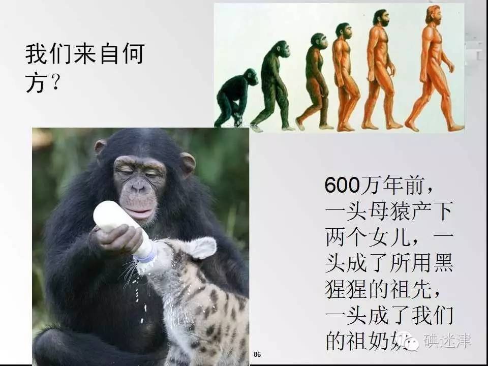 孕妇甲减补碘还是禁碘,孕妇缺碘吃海苔补碘吗