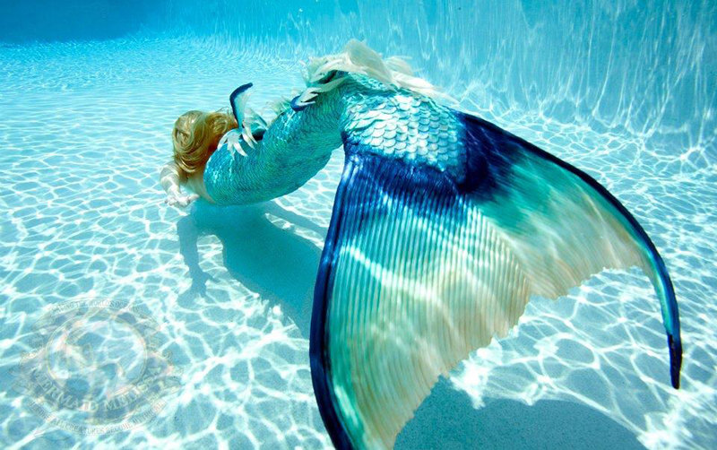 今年流行色砖红色,今年流行豆沙红色