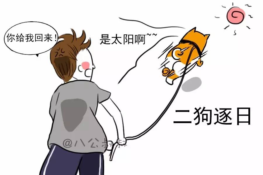 狗狗为什么会被冻成这样,狗狗有多耐寒躲在雪下也冻不死