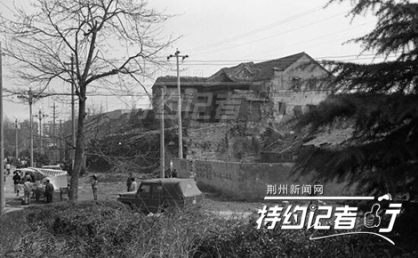 特约记者行郁金香完整版,特约记者行最新视频