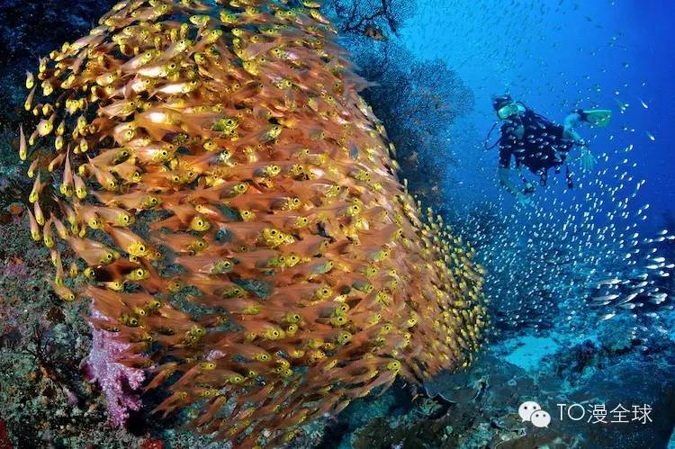 东南亚顶级海岛游,去东南亚旅游哪个海岛比较合适