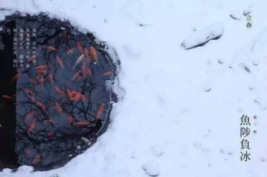 2月3日立春，百年一遇！可这只是神奇鸡年的开始……