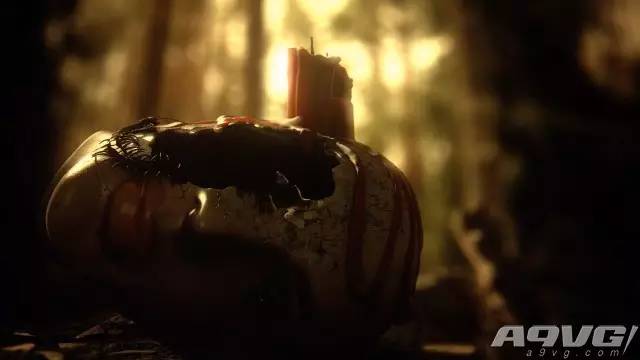 鲤鱼ace解说游戏视频生化危机7,生化危机7外传