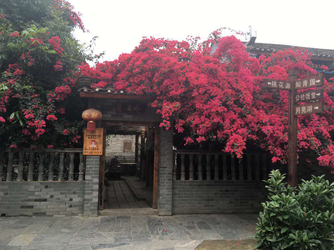 南宁附近农家乐排行榜,南宁十全十美农家乐