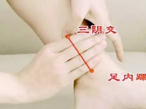 国医大师路志正醋泡黑豆,国医大师路志正讲脾胃调养