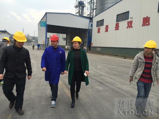 湖南1366个重大项目集中开工,湘乡重大项目g240湘青线