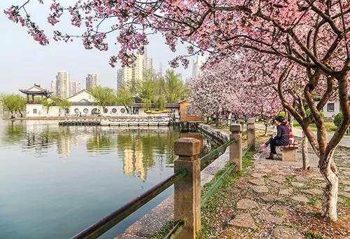 新的一年应该去哪里旅游,新的一年继续玩