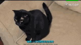 不小心掉进垃圾桶,不小心掉进了垃圾桶