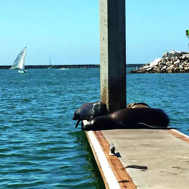 生活｜美墨边境纪行：2000英里马赛克