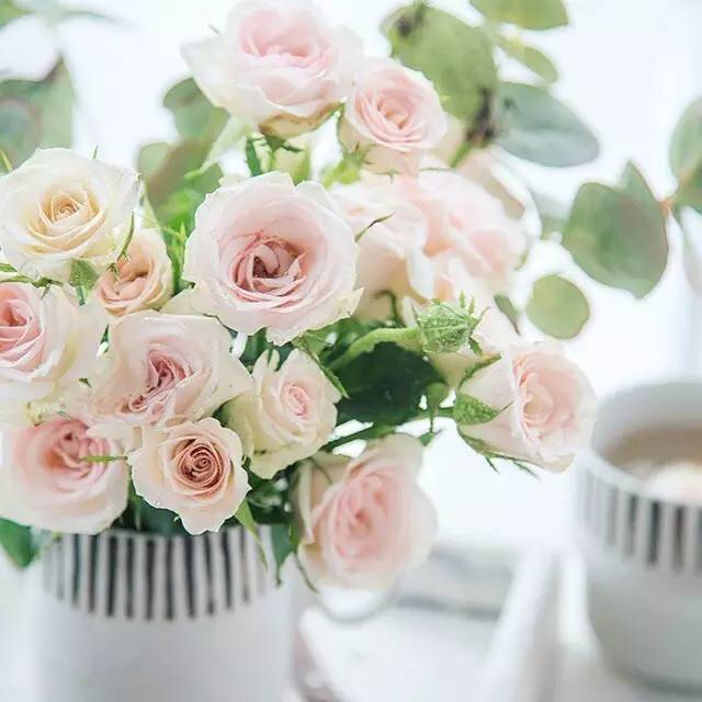 玩头条的乐趣是什么,玩头条介绍