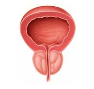 春节假期安全注意事项,春节假期警惕五种病