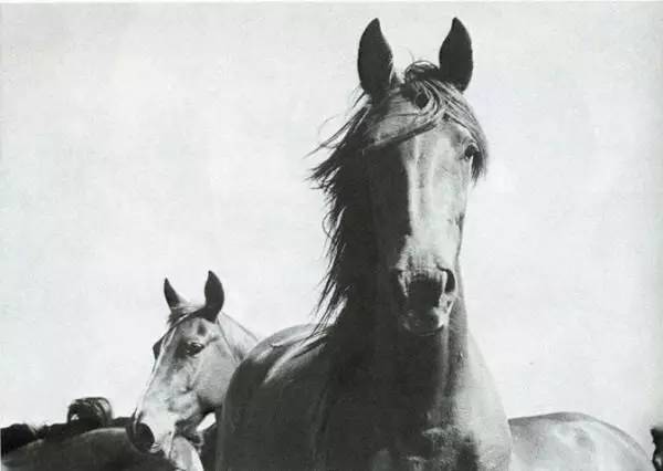新年干货|这样的摄影构图才应该学