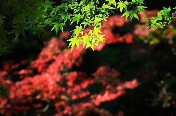 新年干货|这样的摄影构图才应该学