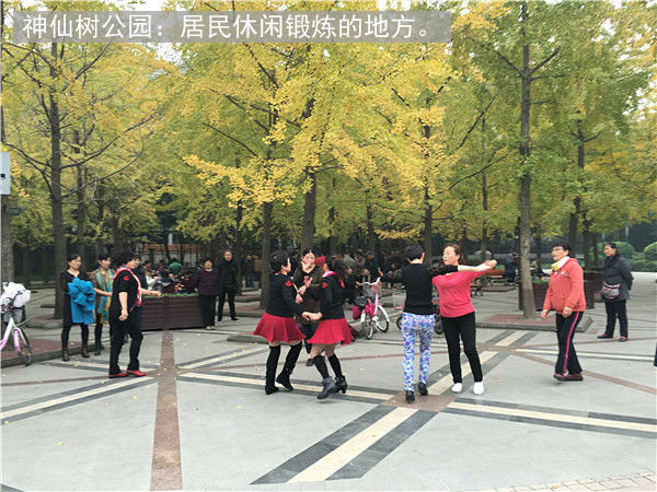 神仙树大院美食,神仙树大院和桐梓林一号