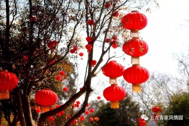 五一五龙客家风情园,五龙客家风情园免费游