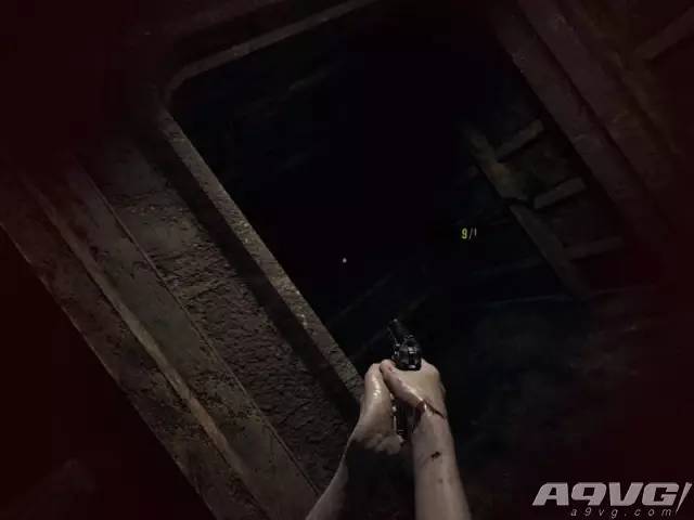 鲤鱼ace解说游戏视频生化危机7,生化危机7外传