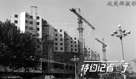 特约记者行郁金香完整版,特约记者行最新视频