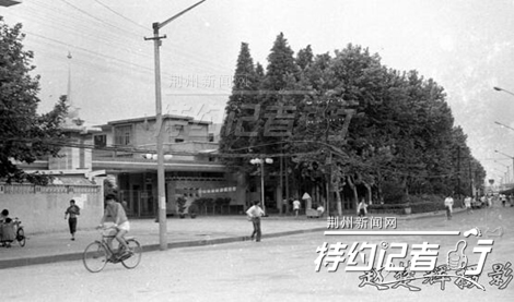 特约记者行郁金香完整版,特约记者行最新视频