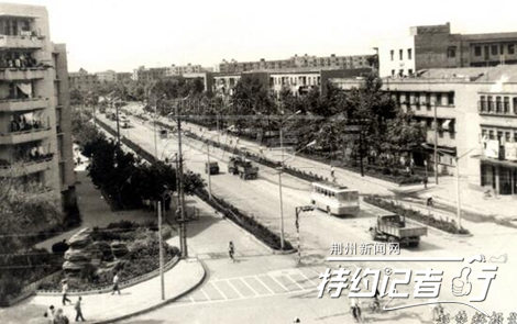 特约记者行郁金香完整版,特约记者行最新视频