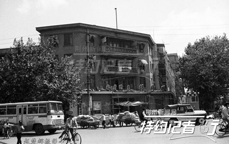 特约记者行郁金香完整版,特约记者行最新视频