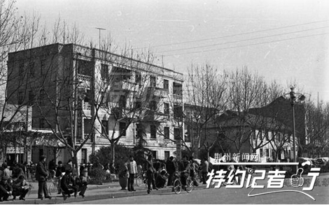 特约记者行郁金香完整版,特约记者行最新视频