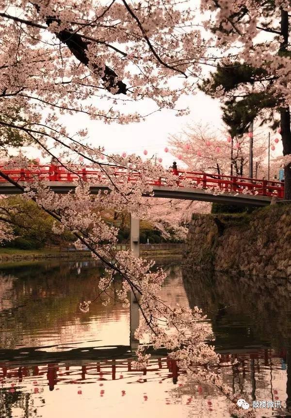 中国千年文化大全,在这里读懂中华5000年文化