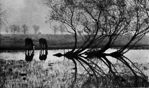 新年干货|这样的摄影构图才应该学