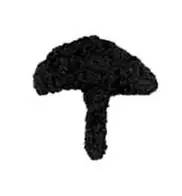 鸡年想写好“丁酉”，先看看这个帖子！