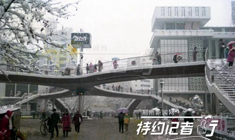 特约记者行郁金香完整版,特约记者行最新视频