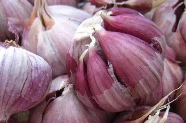 所有天津人！介点儿“小病”可不简单！（内含哏儿都人养生攻略）