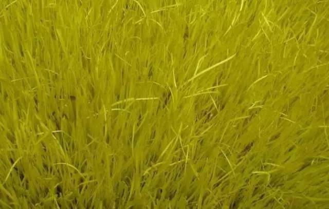 所有天津人！介点儿“小病”可不简单！（内含哏儿都人养生攻略）