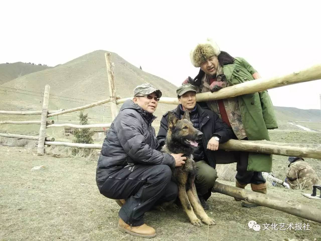 电影血狼犬中的犬,血狼犬护主电影