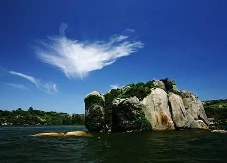 是谁含辛茹苦抚养你长大,是谁养育了我朗诵