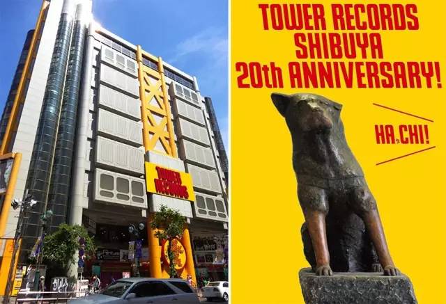 同一家唱片店,在美国破产在日本却销售冠军,为什么?|CBNweekly未来预想图