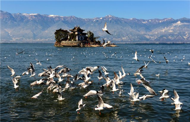 2月20日外交部,外交部蓝厅直播