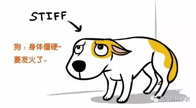 呼和浩特狗咬狗,呼和浩特被狗咬伤