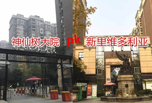 神仙树大院美食,神仙树大院和桐梓林一号